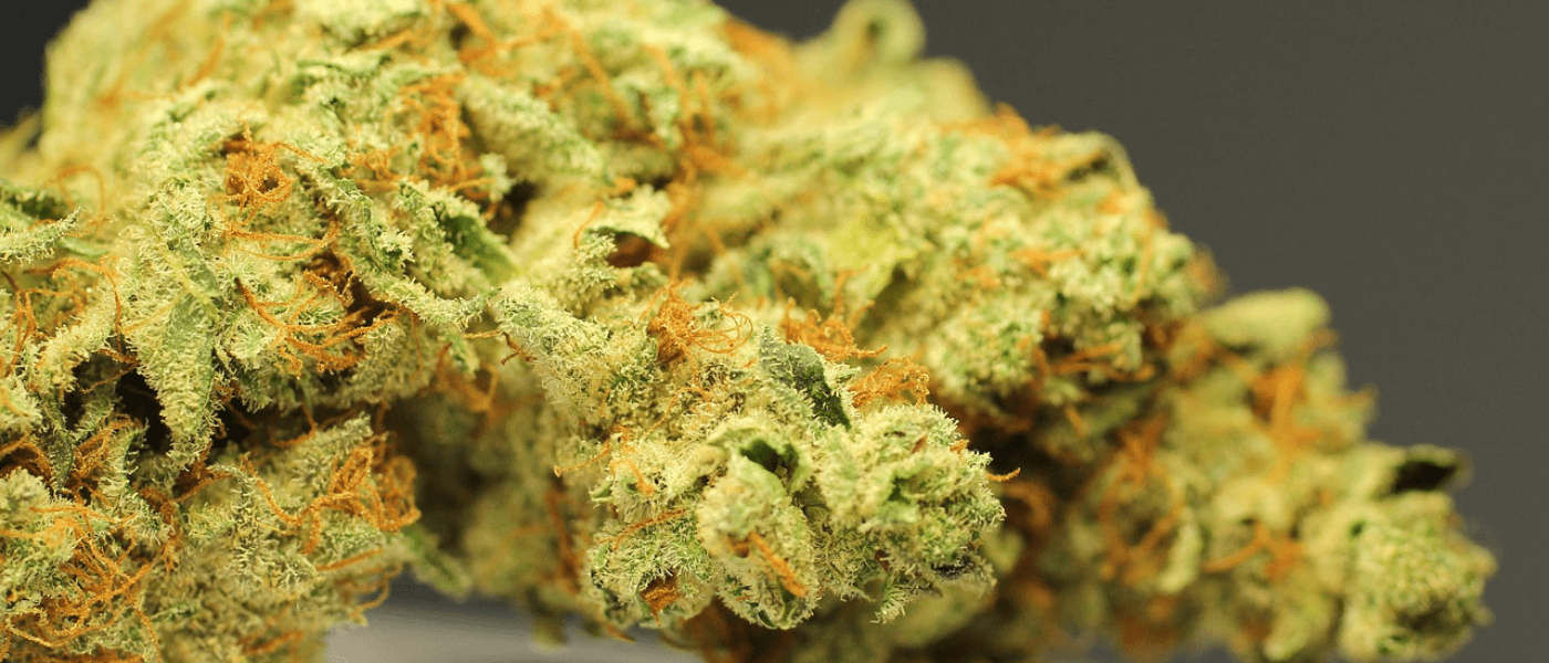 Safe Practices Around Marijuana Buds UK for Medical Purposes