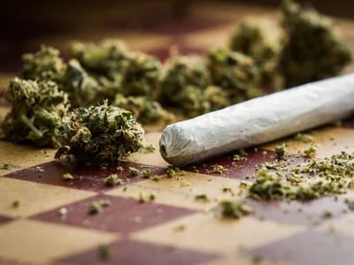 CBD OG Kush for Wellness: Backed by Unwavering Service and Quality Assurance