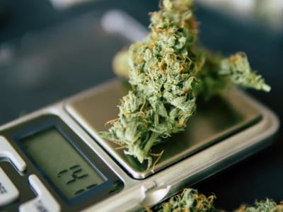 Nationwide Marijuana Shipping: Safe &amp; Discreet – Buy Weed Strains Online