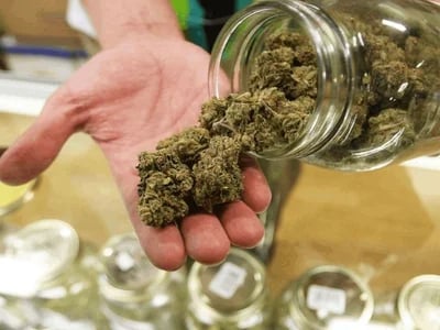 Europe’s Most Trusted Cannabis Shop – Why Thousands Buy Marijuana Online Europe Here