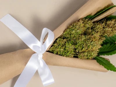 Buy THCa Wholesale Europe – Legal Infused Edibles and Gummies