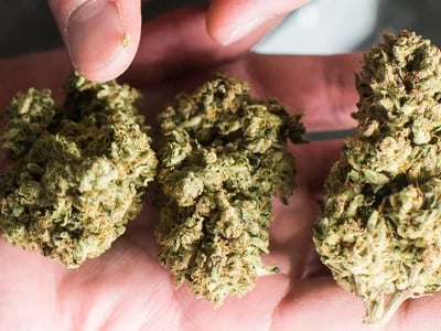 Safe Practices Around Marijuana Buds UK for Medical Purposes