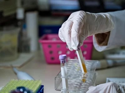 Chem50 Supplies Research Chemical Cannabinoid for Accurate Research
