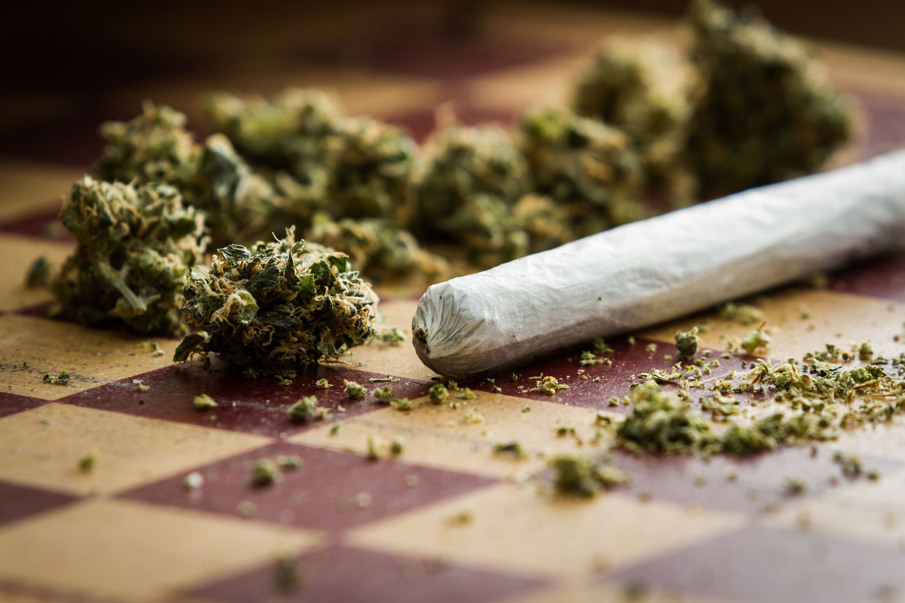 CBD OG Kush for Wellness: Backed by Unwavering Service and Quality Assurance