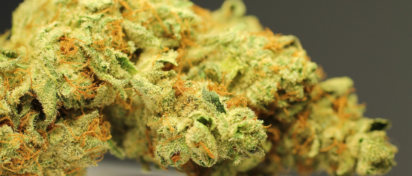 Safe Practices Around Marijuana Buds UK for Medical Purposes