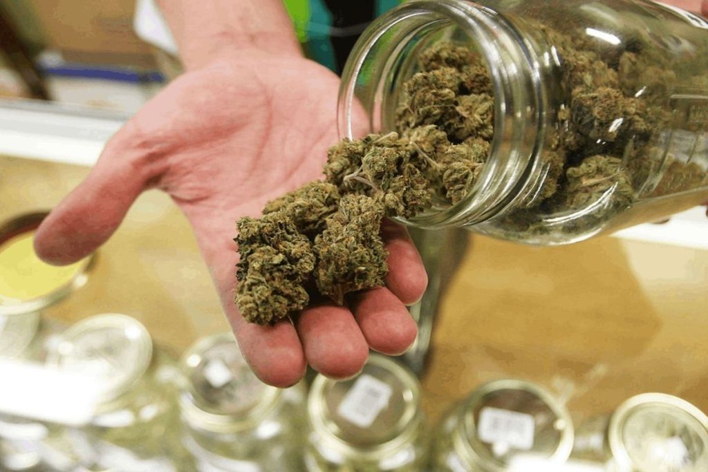 Europe’s Most Trusted Cannabis Shop – Why Thousands Buy Marijuana Online Europe Here